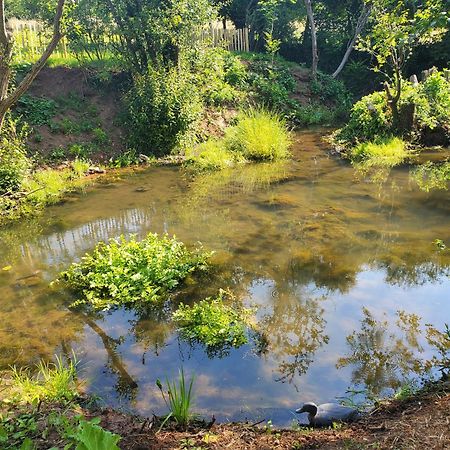 Le Clos Des Sources Isigny-sur-Mer Dış mekan fotoğraf