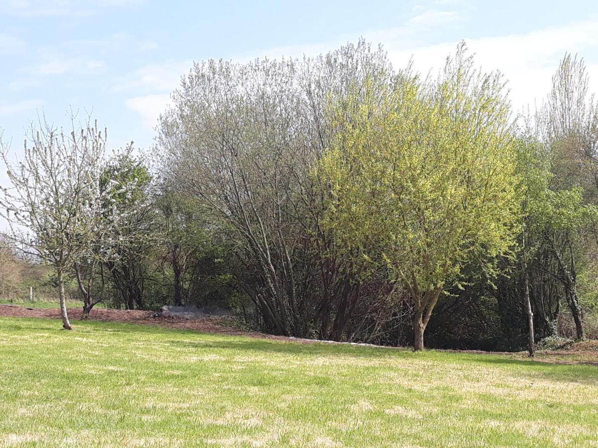 Le Clos Des Sources Isigny-sur-Mer Dış mekan fotoğraf