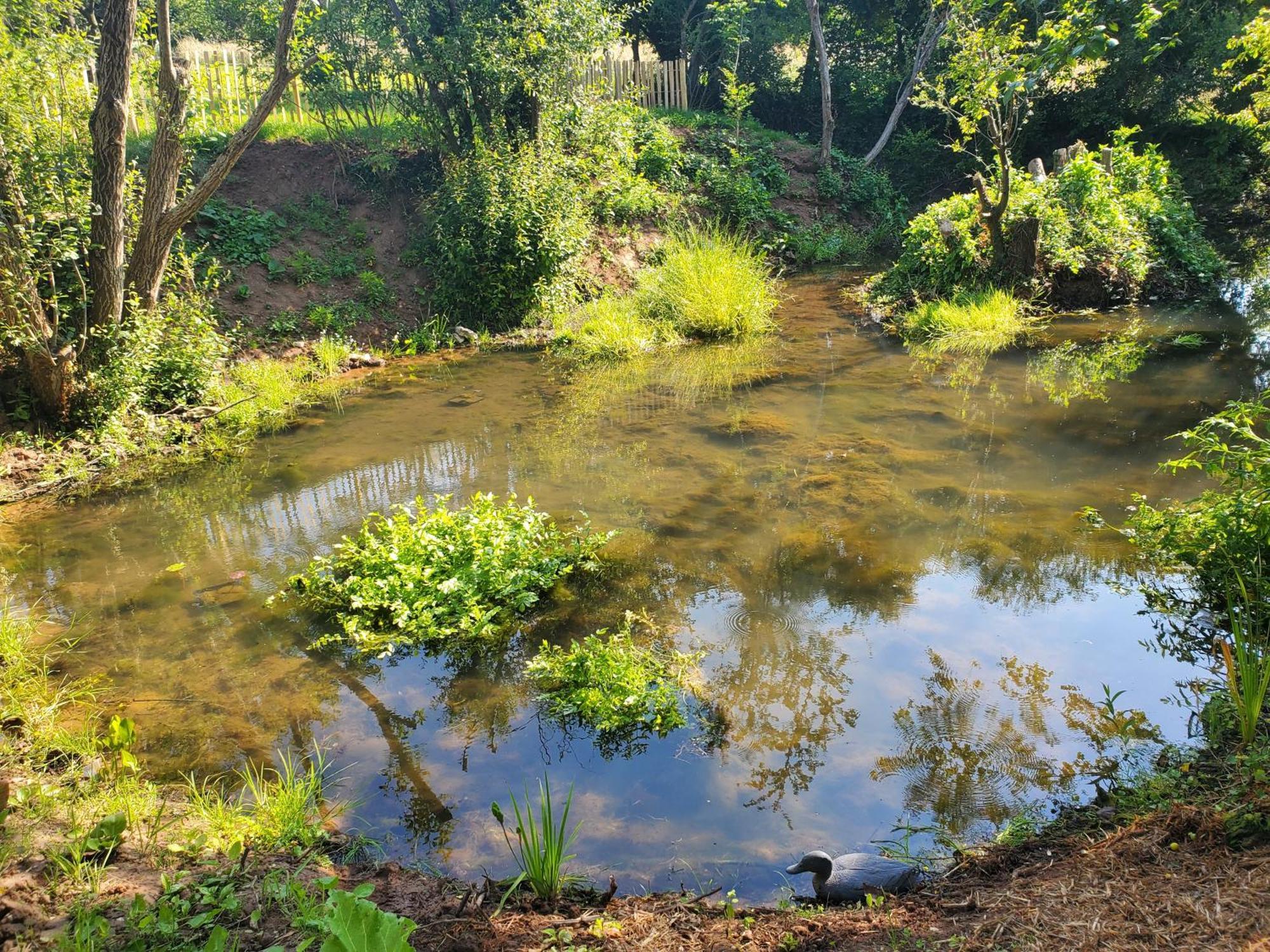 Le Clos Des Sources Isigny-sur-Mer Dış mekan fotoğraf